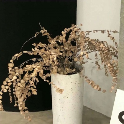 宁津福瑞交流群